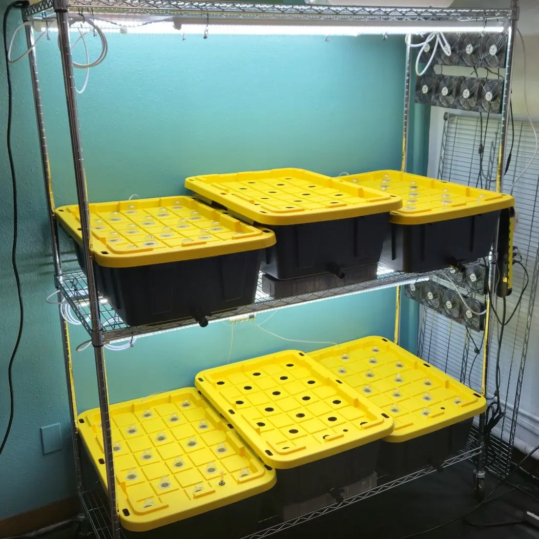 A two-tiered metal wire shelving unit is set up as a hydroponics system in a room with a teal-colored wall. Each shelf holds large, black plastic storage bins with bright yellow lids. The yellow lids have a grid of circular holes cut into them, designed to hold net pots. Long, white LED grow lights are attached underneath each shelf to illuminate the bins below. On the right side of the unit, a vertical array of cooling fans is mounted for ventilation.