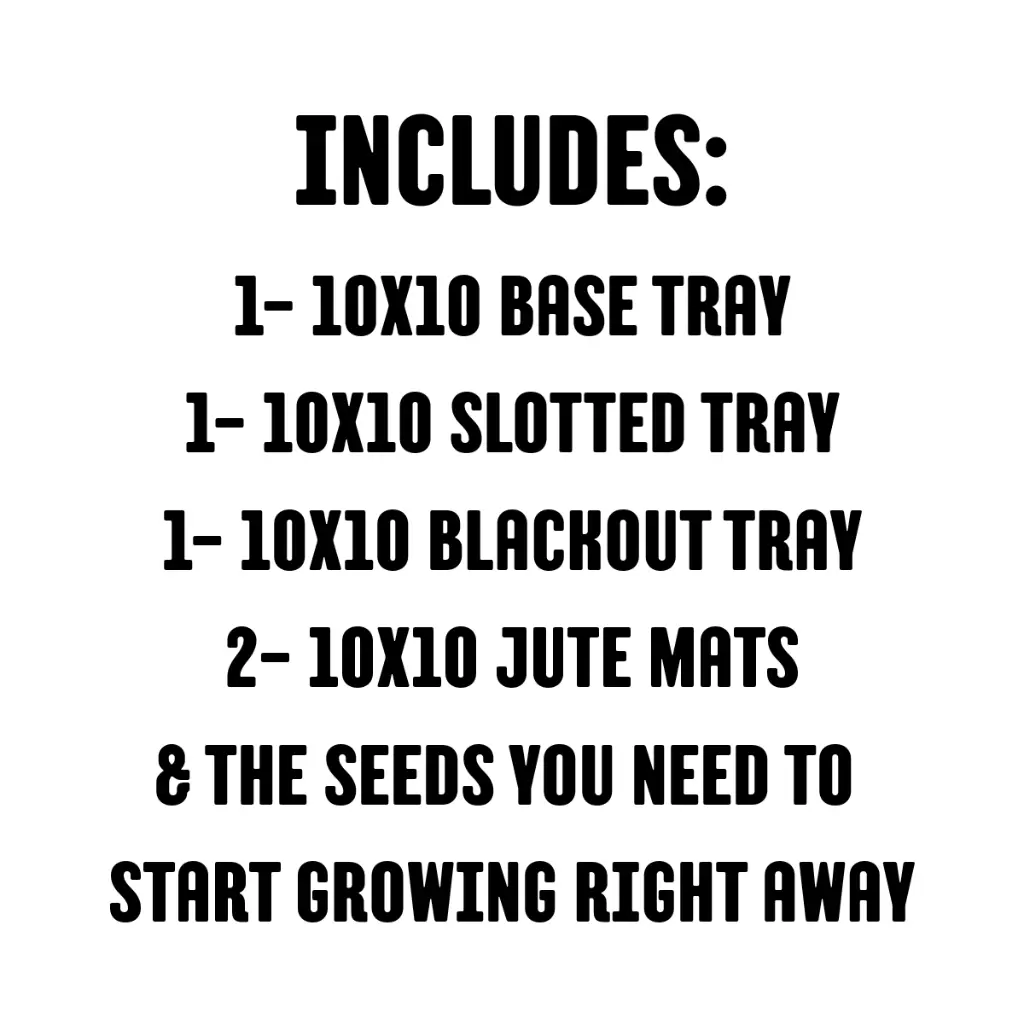 10x10 Single (1).webp