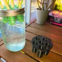 Green Onion Re-Grower