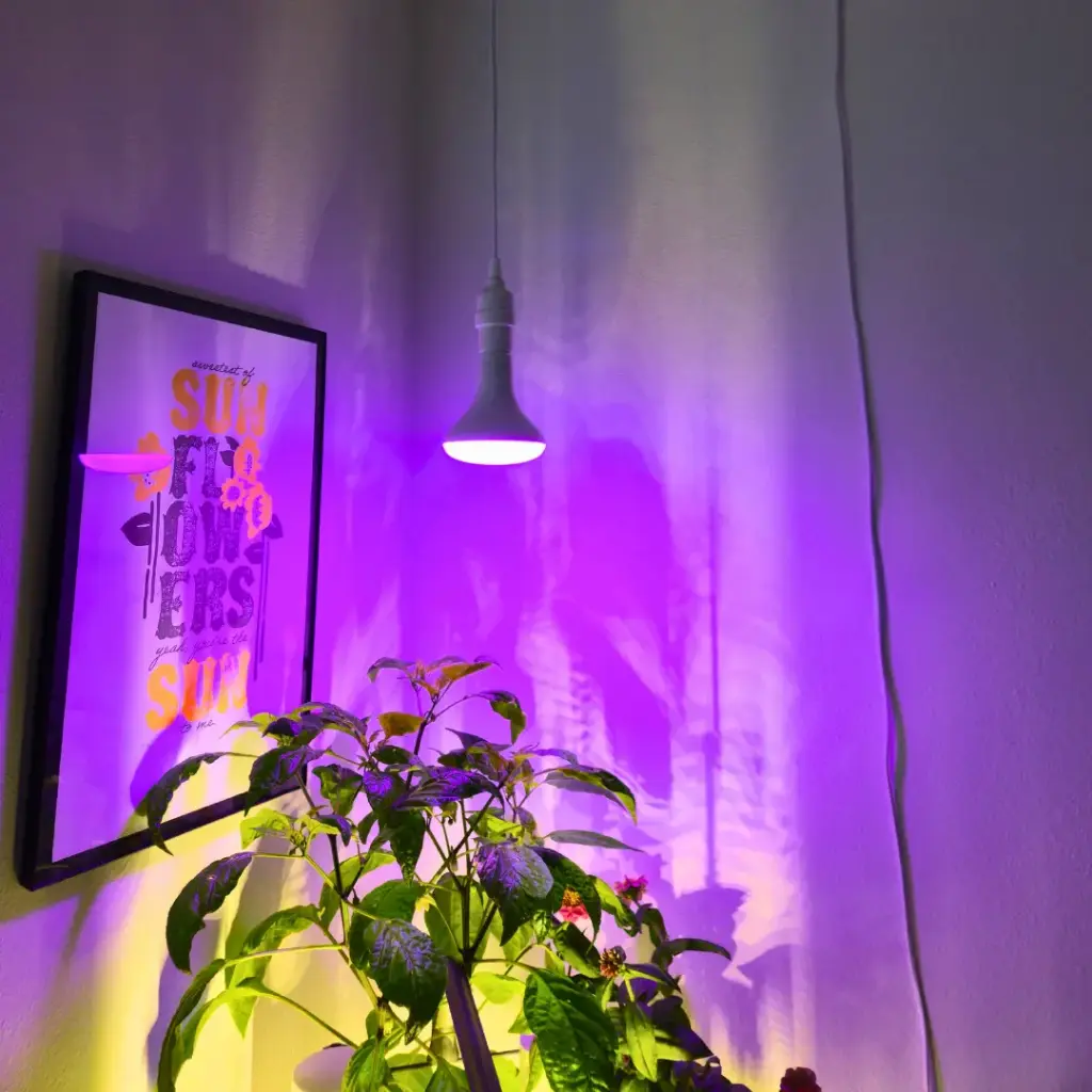 Indoor Grow Light Kit 
