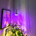 Indoor Grow Light Kit 