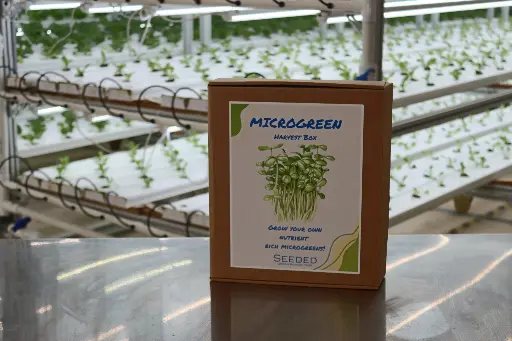 MICROGREENS HARVEST BOX - 5X5 MINI TRAYS